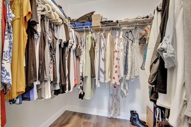 spacious closet featuring wood-type flooring