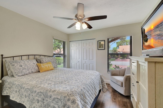 bedroom with multiple windows, a closet, dark wood-type flooring, and ceiling fan