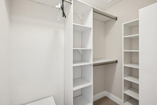 view of spacious closet