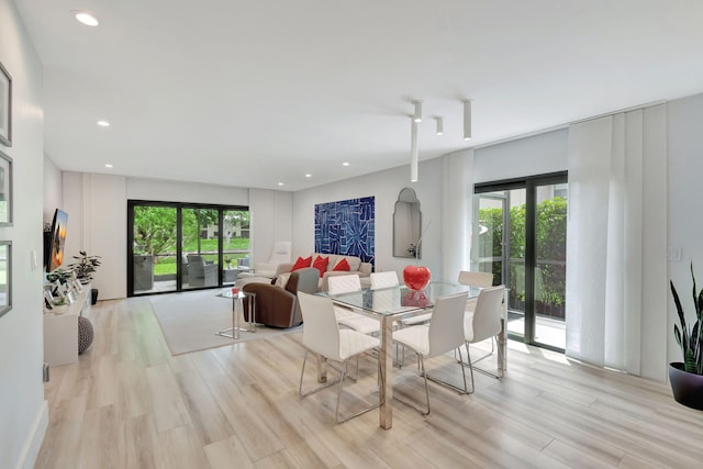 dining area featuring light hardwood / wood-style floors and plenty of natural light