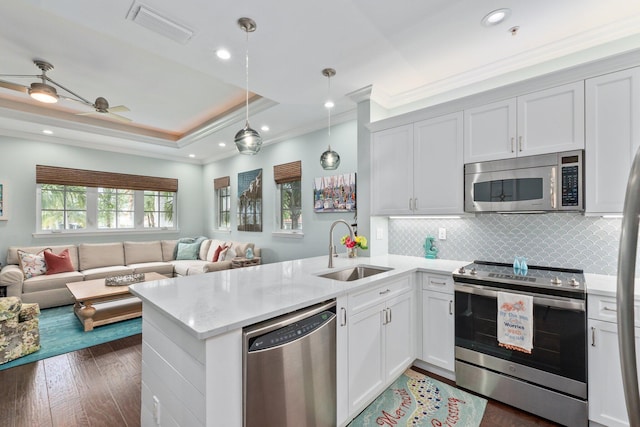 kitchen with appliances with stainless steel finishes, dark hardwood / wood-style flooring, sink, kitchen peninsula, and ceiling fan