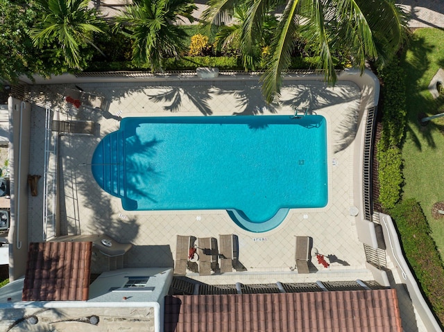 view of pool featuring a patio