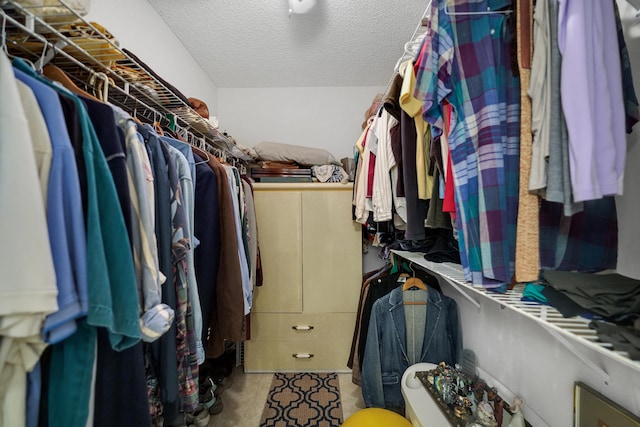 view of spacious closet