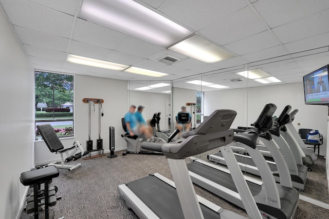 workout area with carpet floors and a paneled ceiling