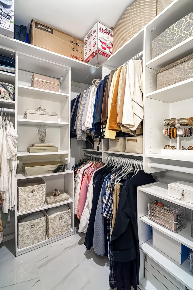 view of spacious closet