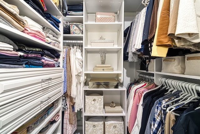 view of spacious closet