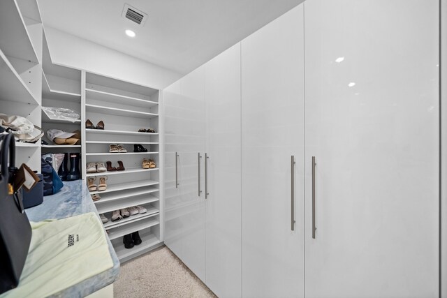 walk in closet featuring light colored carpet