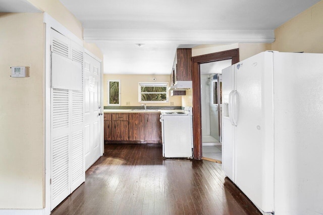 kitchen with white appliances, sink, and dark hardwood / wood-style flooring