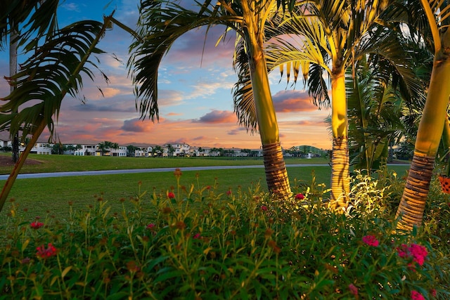 view of yard at dusk