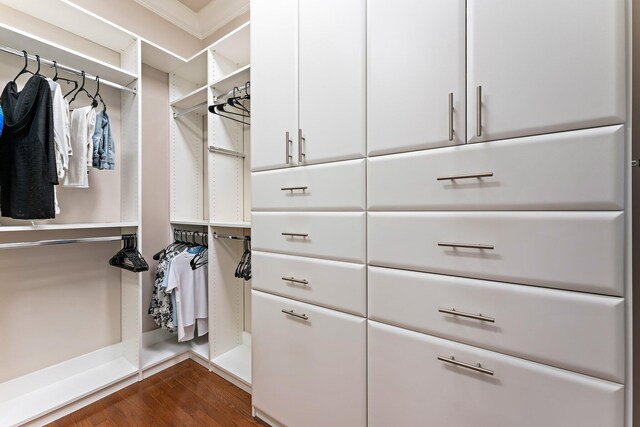 spacious closet with dark hardwood / wood-style floors