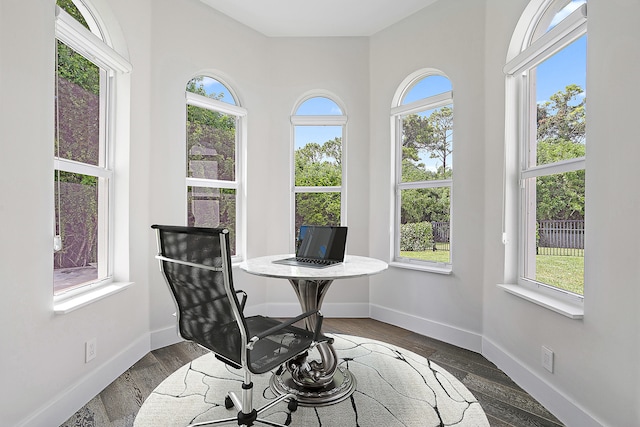 office space with plenty of natural light and dark hardwood / wood-style flooring