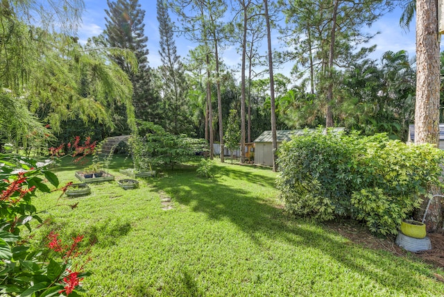 view of yard featuring a storage shed