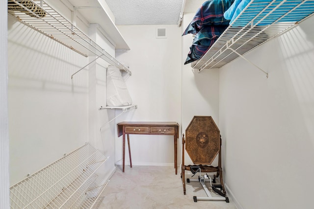 view of walk in closet