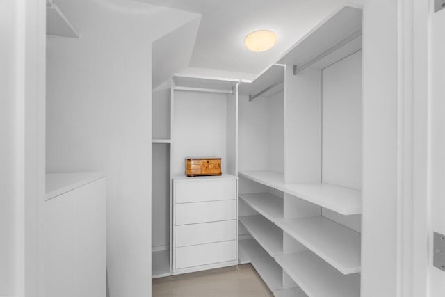 view of walk in closet