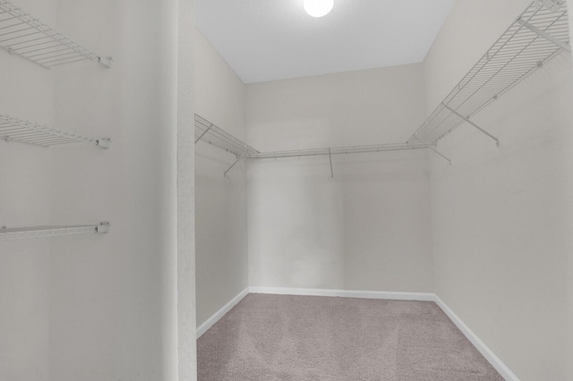 2609 SW Gallery Cir, Palm City, FL 34990 - spacious closet featuring carpet flooring