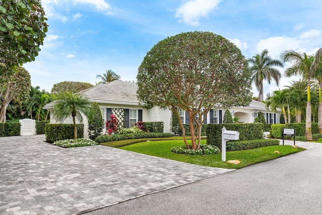 view of front of home featuring a front yard