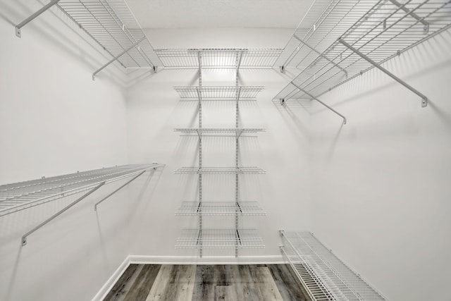 walk in closet featuring wood finished floors