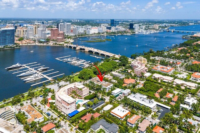 aerial view with a water view