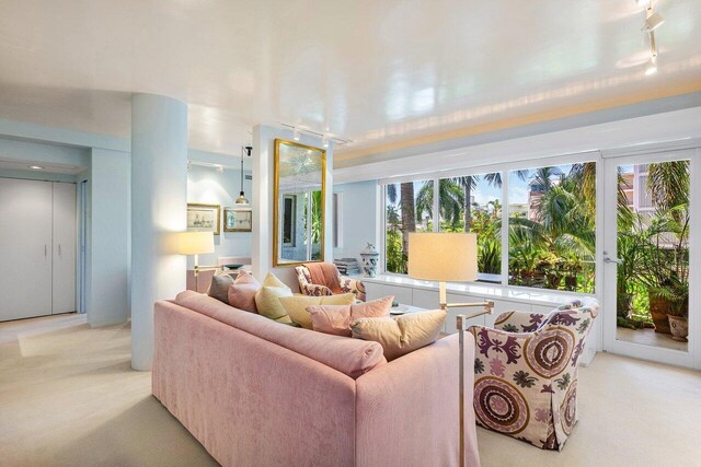 living room with carpet flooring, track lighting, and elevator