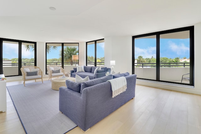 living room featuring light wood-type flooring