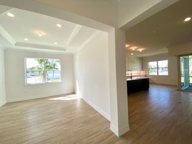 spare room with light wood finished floors, a tray ceiling, ornamental molding, and baseboards