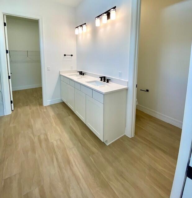 bathroom with wood finished floors, a sink, a walk in closet, and baseboards