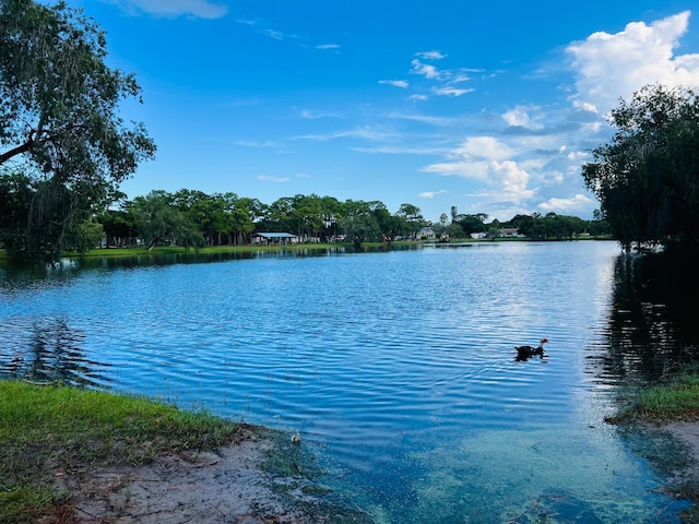 view of water feature