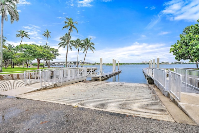 dock area with a water view