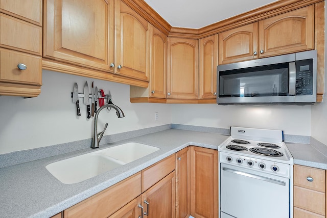 kitchen with white electric stove and sink