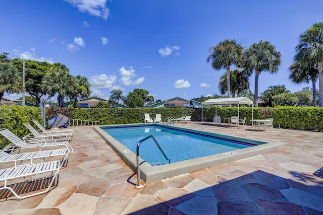 view of swimming pool with a patio