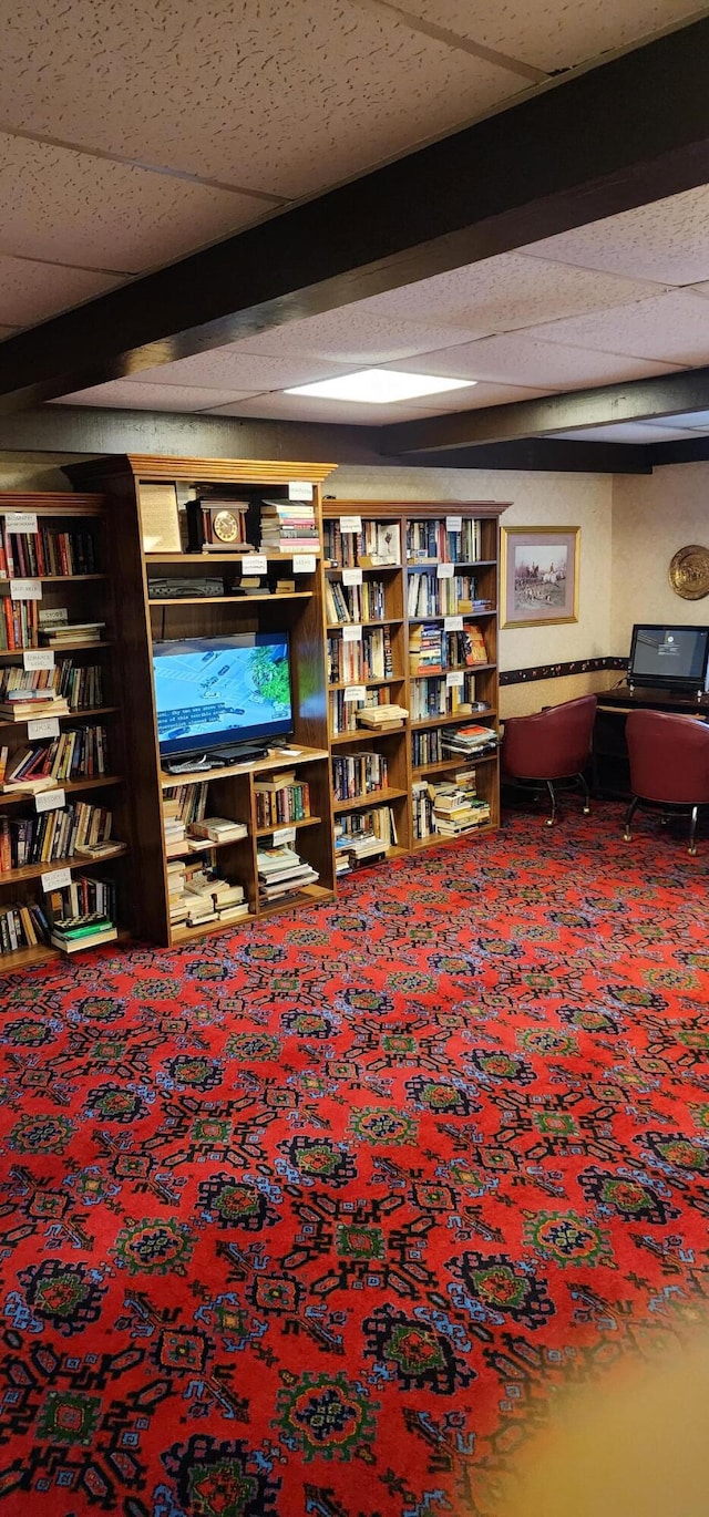 interior space with carpet and a drop ceiling