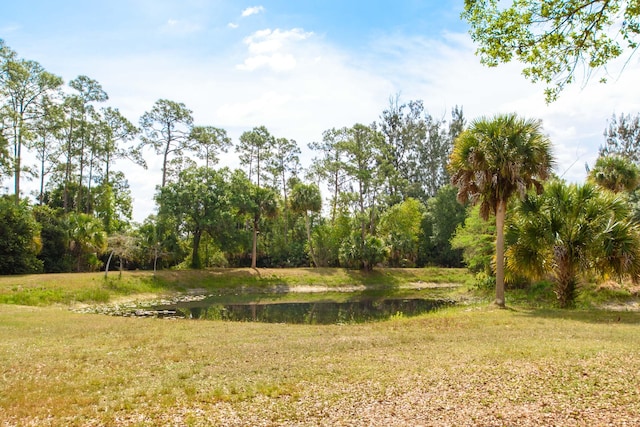 view of yard with a water view