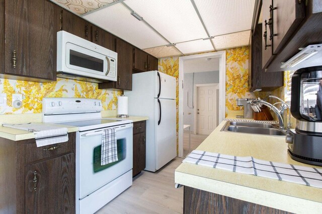 kitchen with white appliances, light hardwood / wood-style floors, dark brown cabinetry, and sink