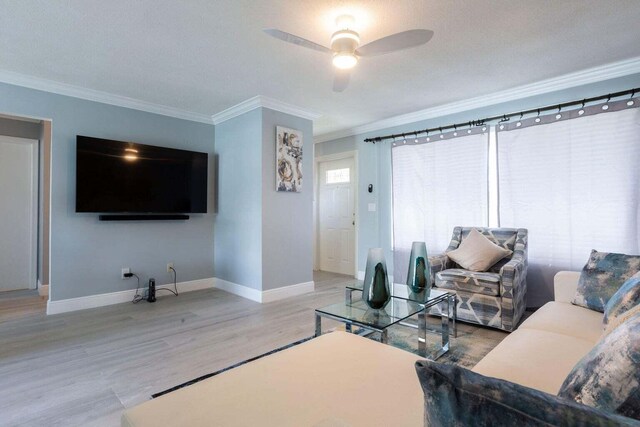 living room with crown molding, a textured ceiling, wood-type flooring, and ceiling fan