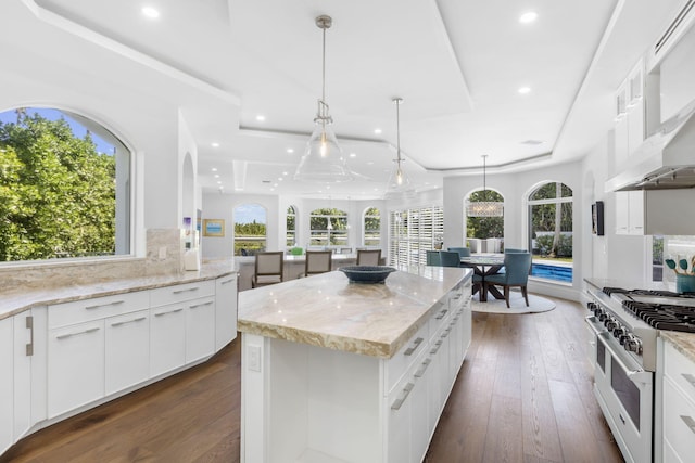 kitchen with range with two ovens, dark wood-type flooring, a kitchen island, exhaust hood, and a raised ceiling