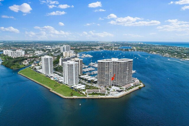 bird's eye view with a water view