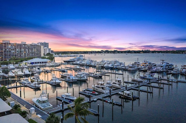 100 Lakeshore Dr Unit 457, North Palm Beach, FL 33408 - water view with numerous boat docks and a boat dock