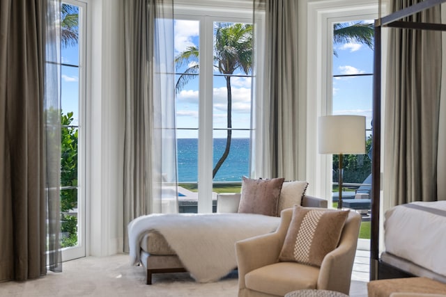 carpeted bedroom with a water view