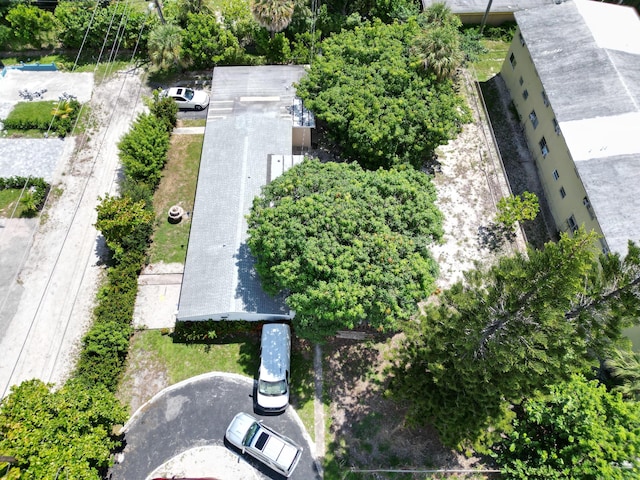 bird's eye view