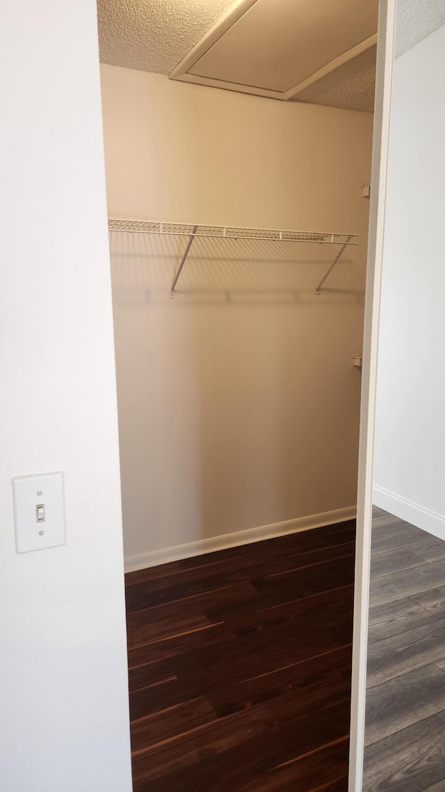 walk in closet with dark hardwood / wood-style flooring