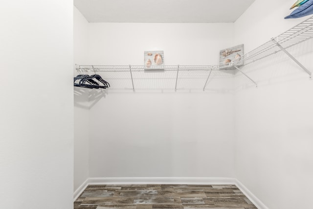 walk in closet featuring wood-type flooring