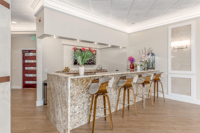 bar with crown molding, light hardwood / wood-style flooring, and light stone counters