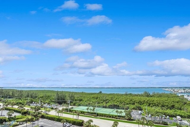 birds eye view of property with a water view