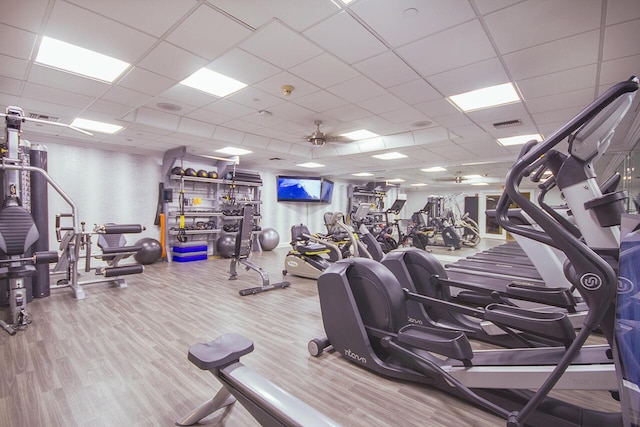 workout area with a paneled ceiling, ceiling fan, and hardwood / wood-style flooring