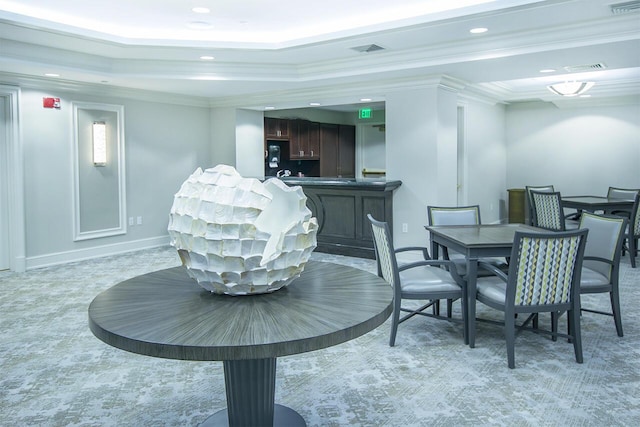 interior space featuring a raised ceiling and crown molding