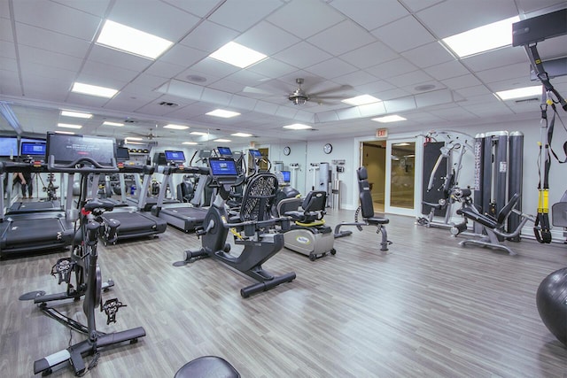 workout area featuring a drop ceiling, hardwood / wood-style floors, and ceiling fan