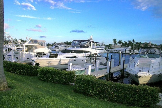 dock area featuring a water view