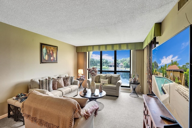 living room featuring a textured ceiling and light carpet