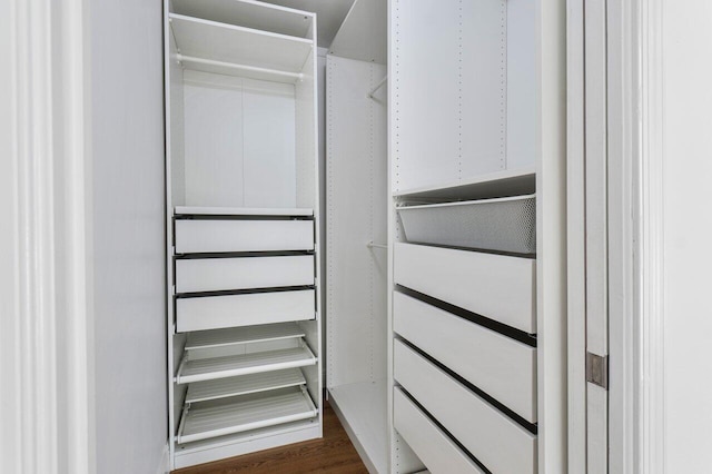 walk in closet with dark wood-style floors