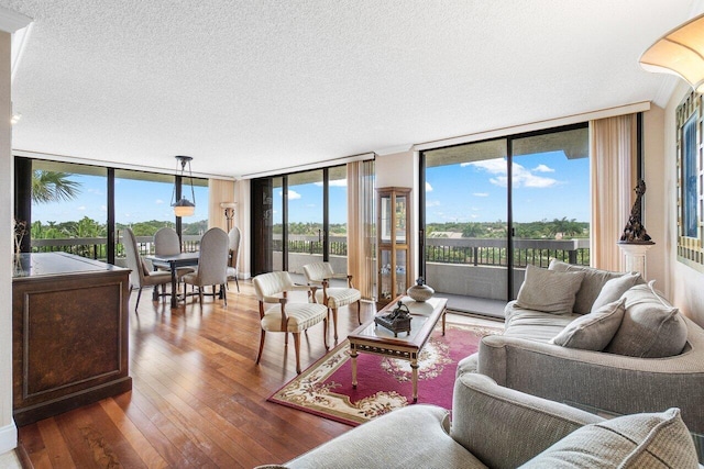 living room featuring a textured ceiling and dark hardwood / wood-style flooring